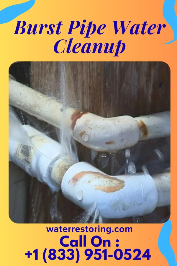 Burst Pipe Water Cleanup in Newark, DE