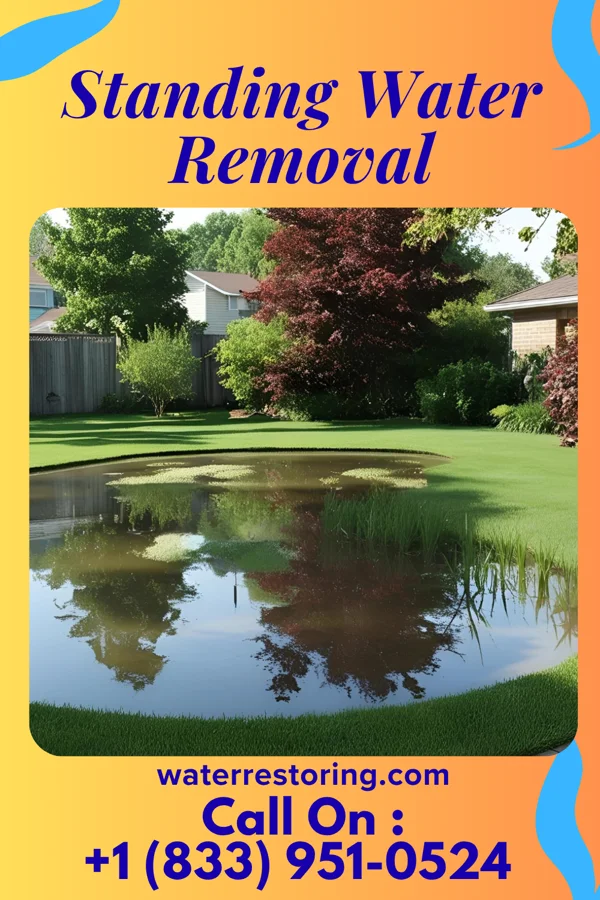 Standing Water Removal in Newark, DE